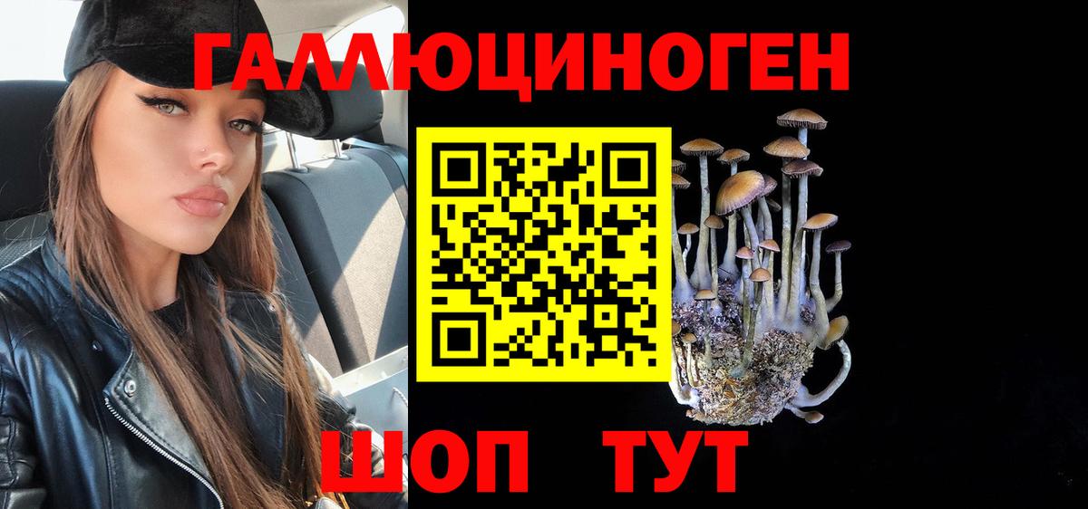 Галлюциногенные грибы мицелий  Галлюциногенные грибы Psilocybe  Верхний Уфалей  Вход с VPN 